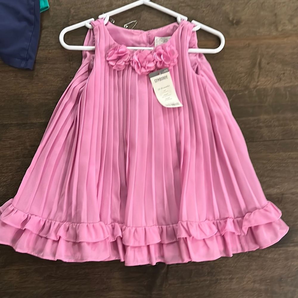 Gymboree new w tag chiffon dress